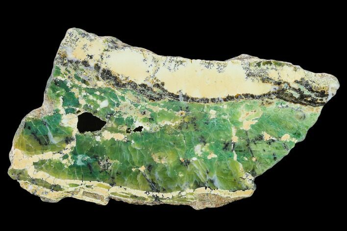 Polished Green-White Opal Slab - Western Australia #132927